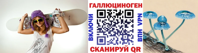 Псилоцибиновые грибы прущие грибы  Злынка 